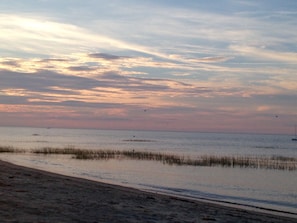 A beach with a calm sea, grassy dunes, and a clear sky.