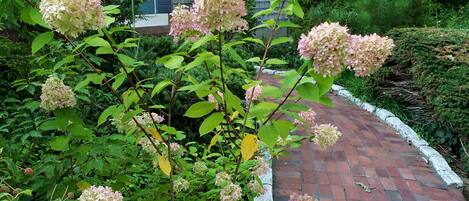 Details aan de buitenkant