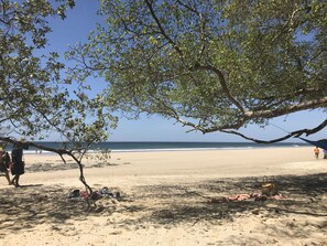 En strand med ett stort träd som ger skugga, en sandstrand och havet i bakgrunden.