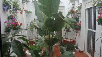 Economy Double Room, Courtyard View (8 M2) | Pemandangan halaman dalam