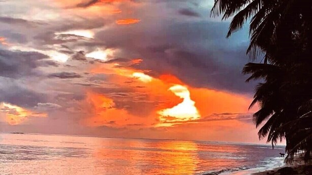 Ein Strand mit Sonnenuntergang, Palmen und ruhiger See.