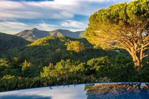 A pool with a view of a mountainous landscape and a large tree. - Mountain View Retreat (Fairfax)