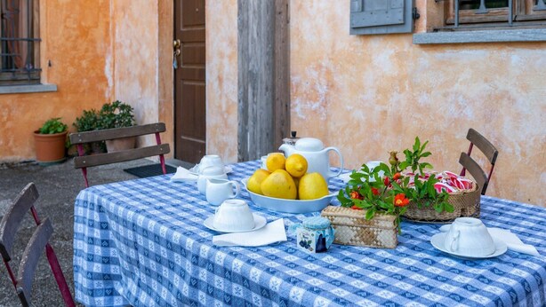 Uma mesa posta ao ar livre com toalha xadrez azul e branca, bules e xícaras brancos, uma tigela de limões e uma cesta de vime com flores.