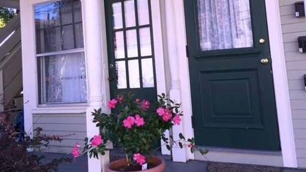 Een veranda met een groene deur, een witte zuil en een hangende bloempot met paarse bloemen.