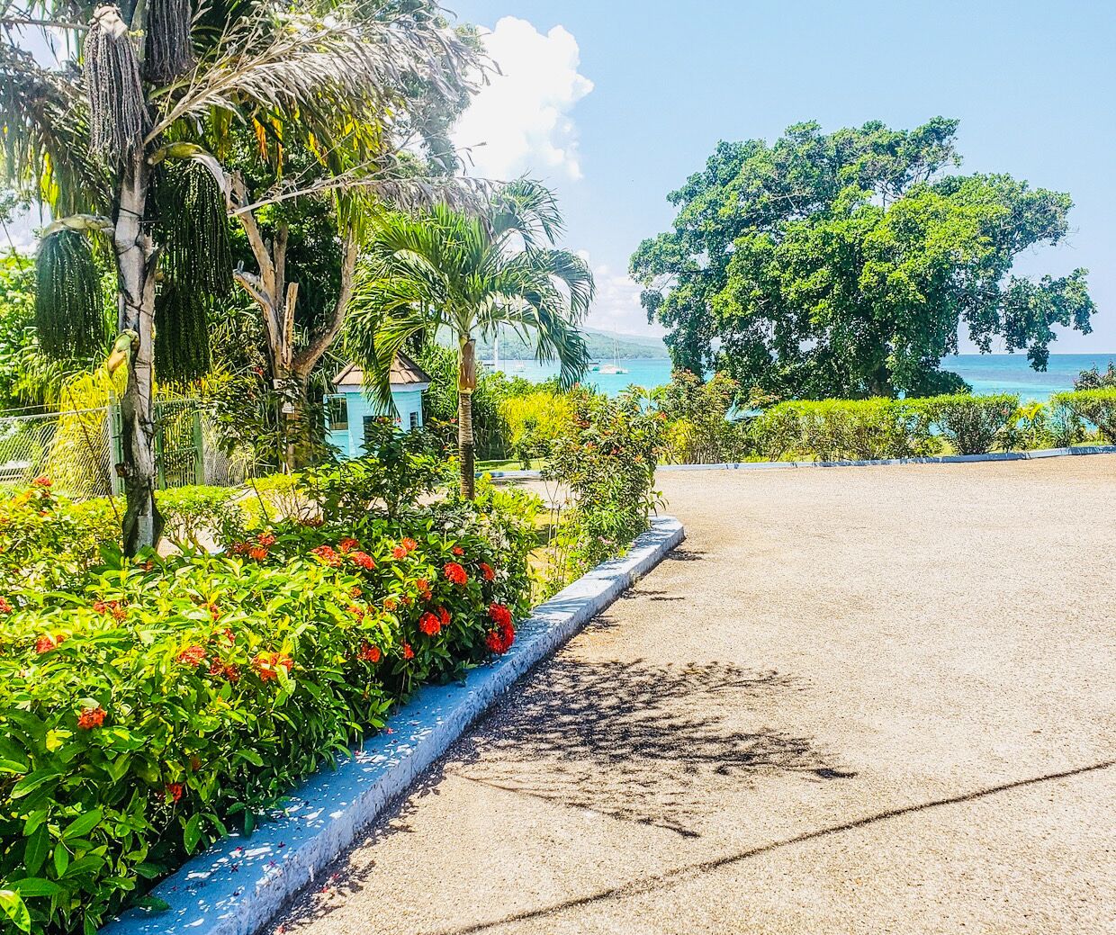 Een verhard pad langs een aangelegde tuin met diverse planten en uitzicht op zee.