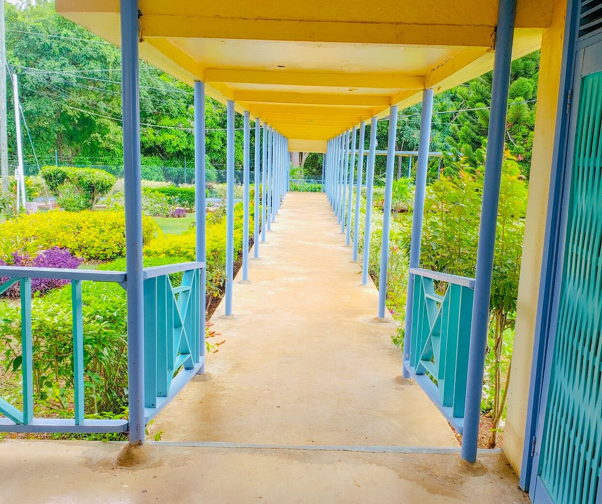 A covered walkway with a concrete path, surrounded by greenery and blue railings.