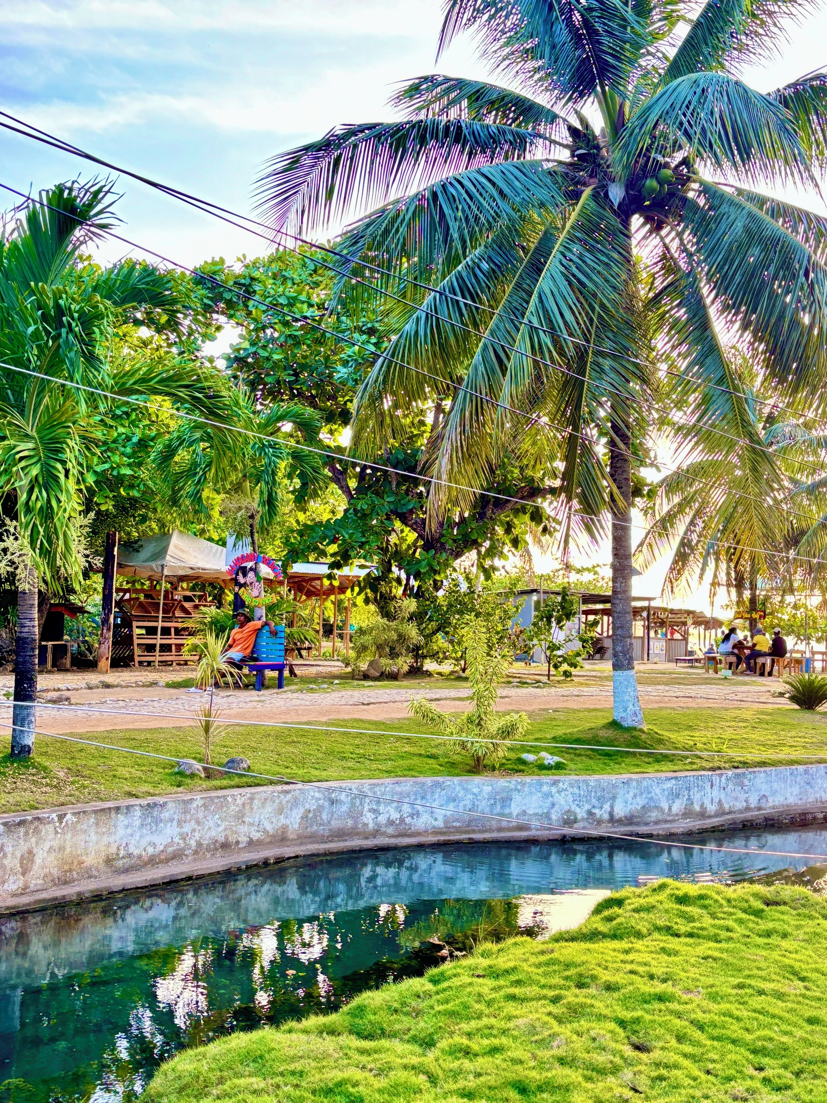 A serene outdoor area with a small pond, palm trees, and a seating area with people.