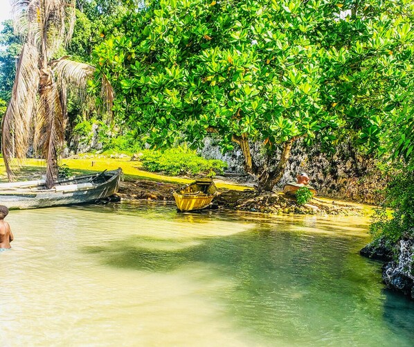 A calm river with boats and lush greenery. - Oceanview 2BR Condo Walk to Mahogany Beach Ocho Rios (Ocho Rios)