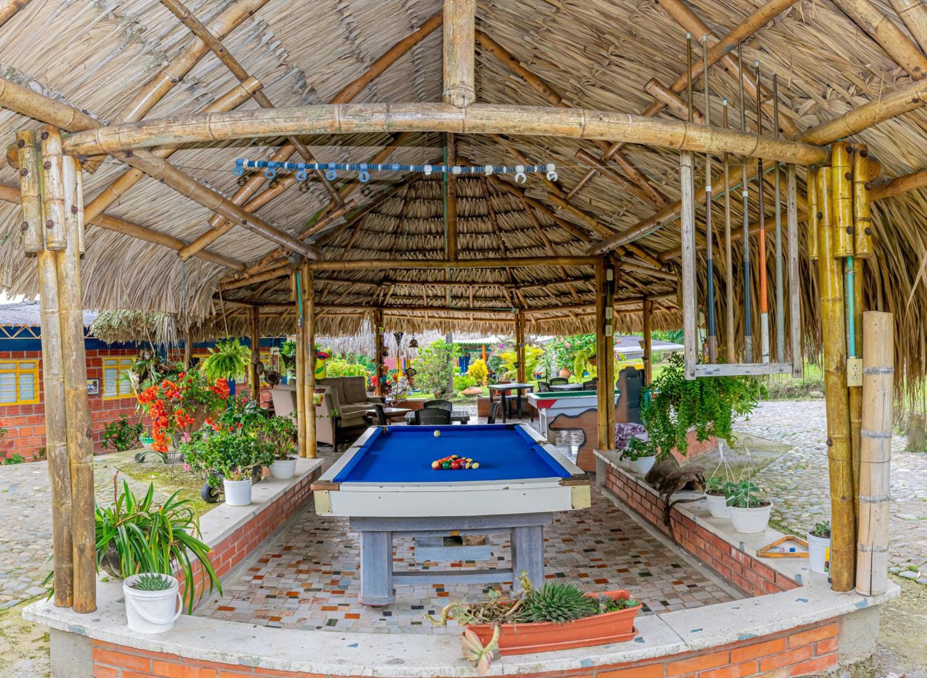 Zona de piscina exterior con techo de paja, rodeada de plantas en macetas y un muro de ladrillo.