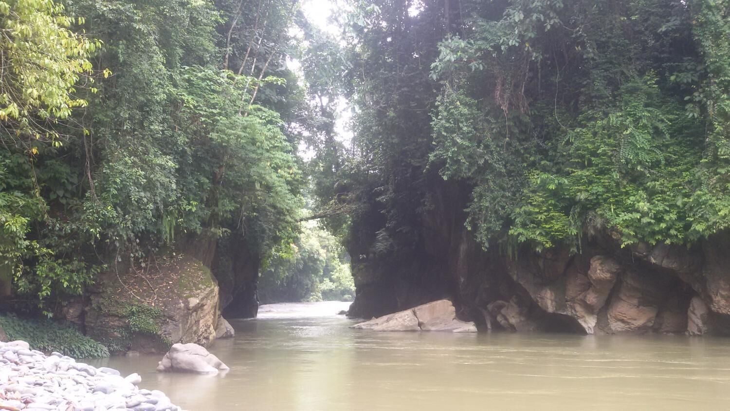 Een rivier die door een bebost gebied stroomt, met rotsachtige oevers en weelderige begroeiing.