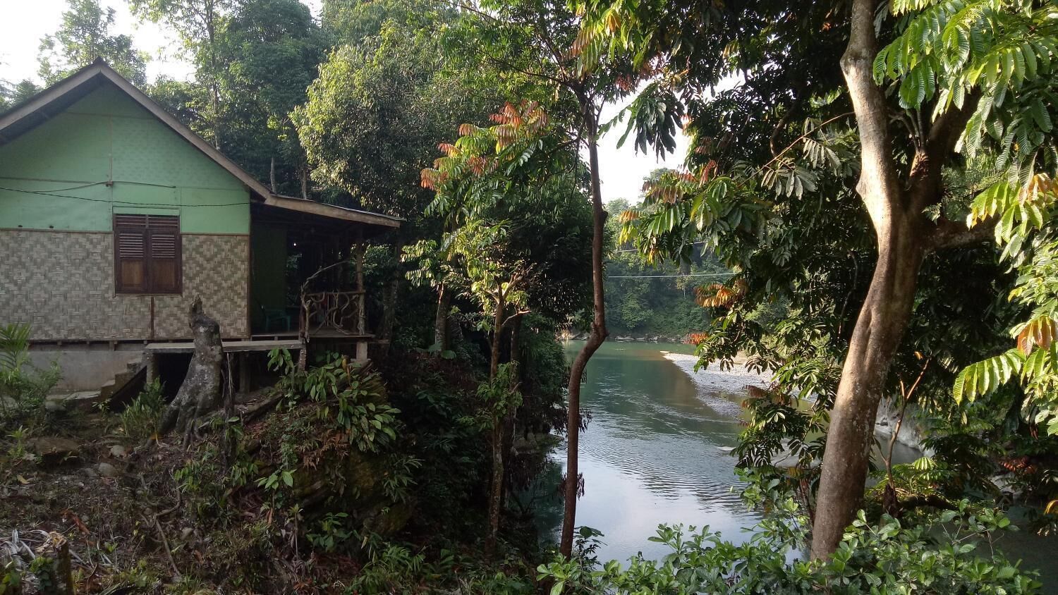 A riverside view with a house partially obscured by foliage.