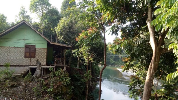 Una casa con facciata verde e una parte inferiore rivestita di piastrelle, situata accanto a un fiume circondato da vegetazione lussureggiante.