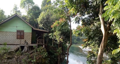 Green Lodge Tangkahan