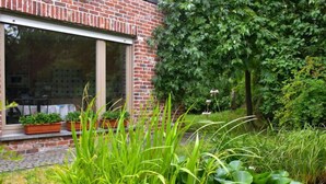 A brick building with a large window and potted plants on the windowsill.