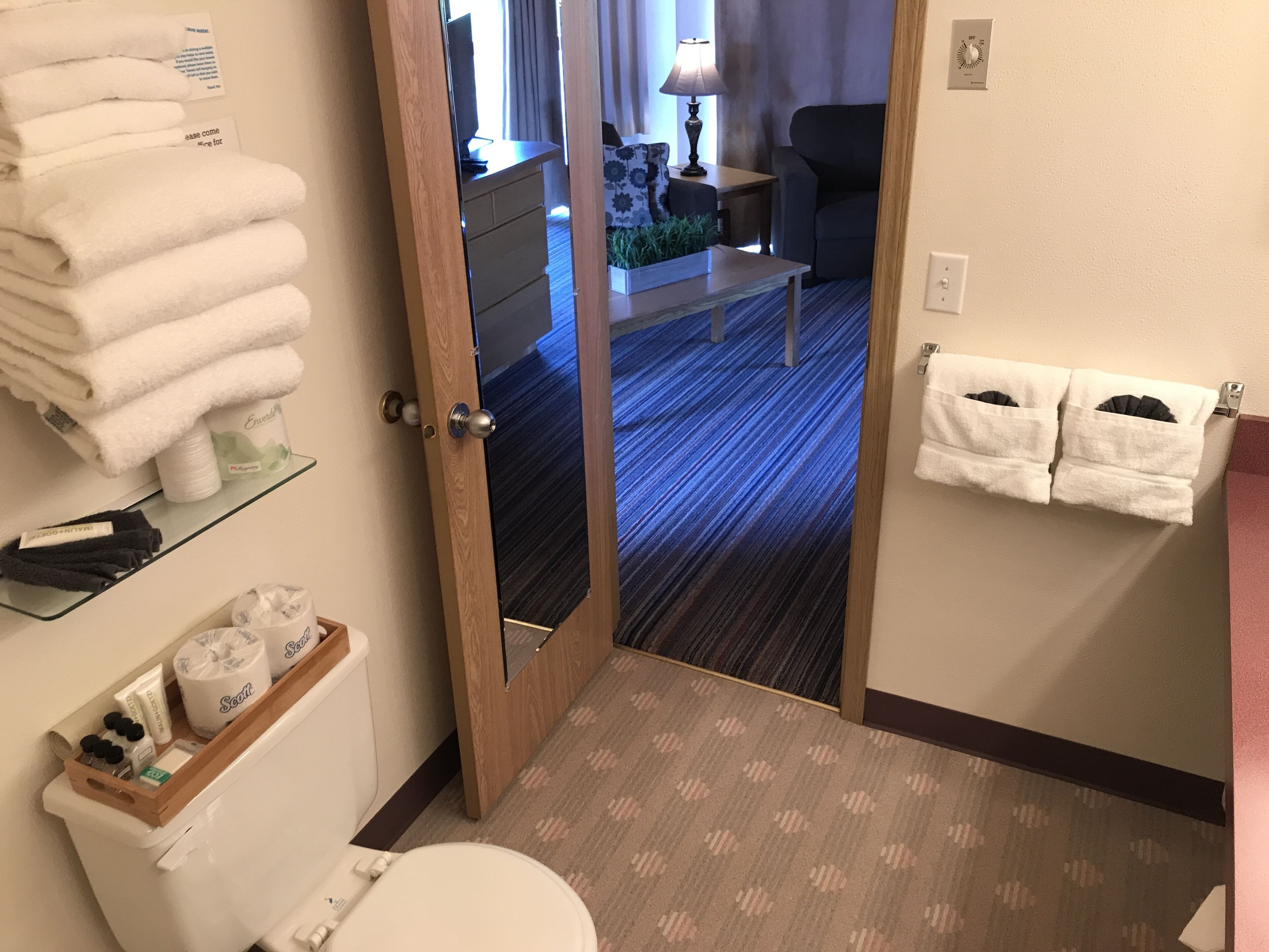 Un baño de hotel con inodoro, lavamanos, espejo, perchero para toallas y una puerta de cristal que da a una sala de estar.