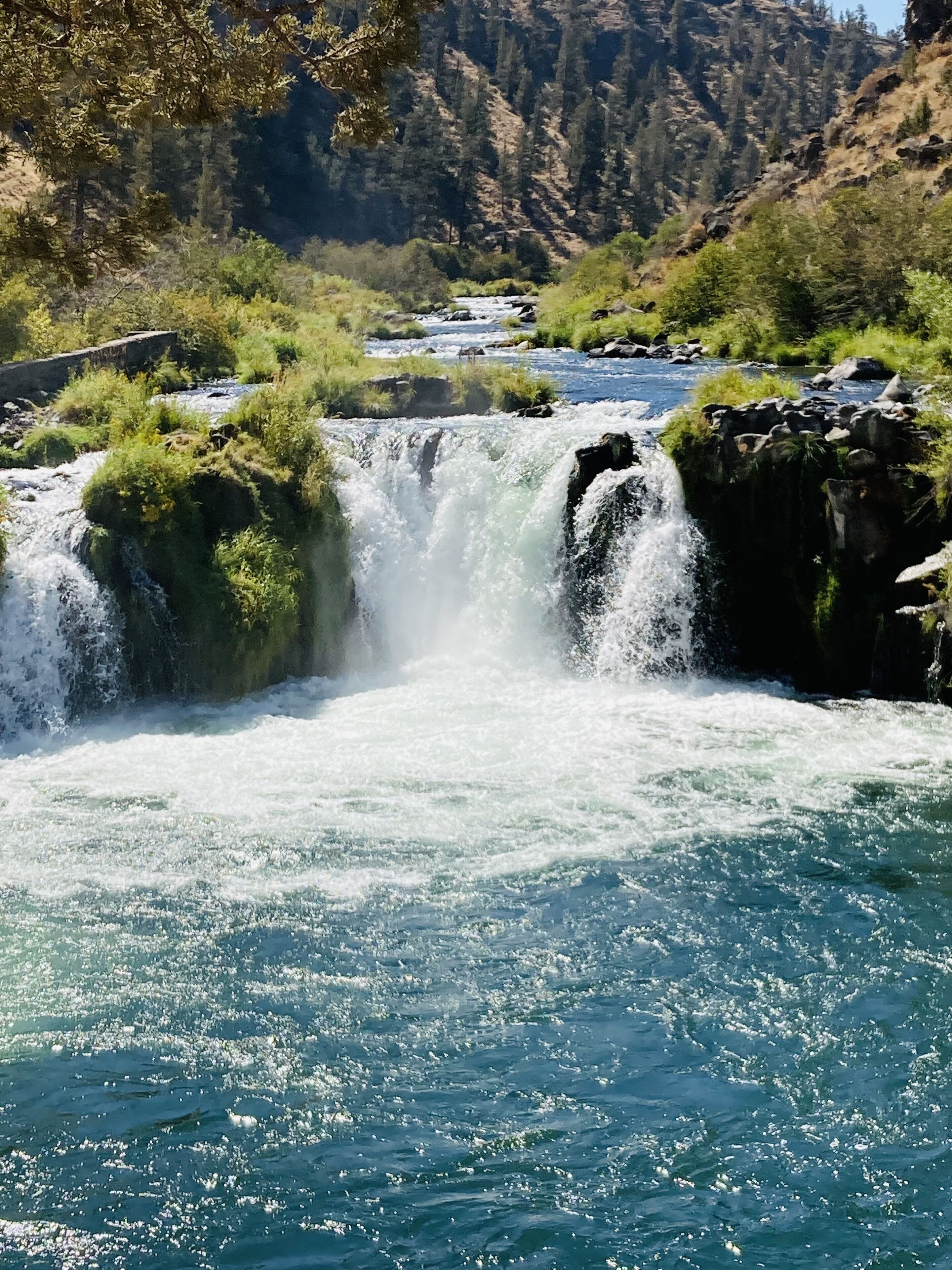 Una cascada de agua cristalina que fluye sobre rocas, rodeada de vegetación y con montañas al fondo.