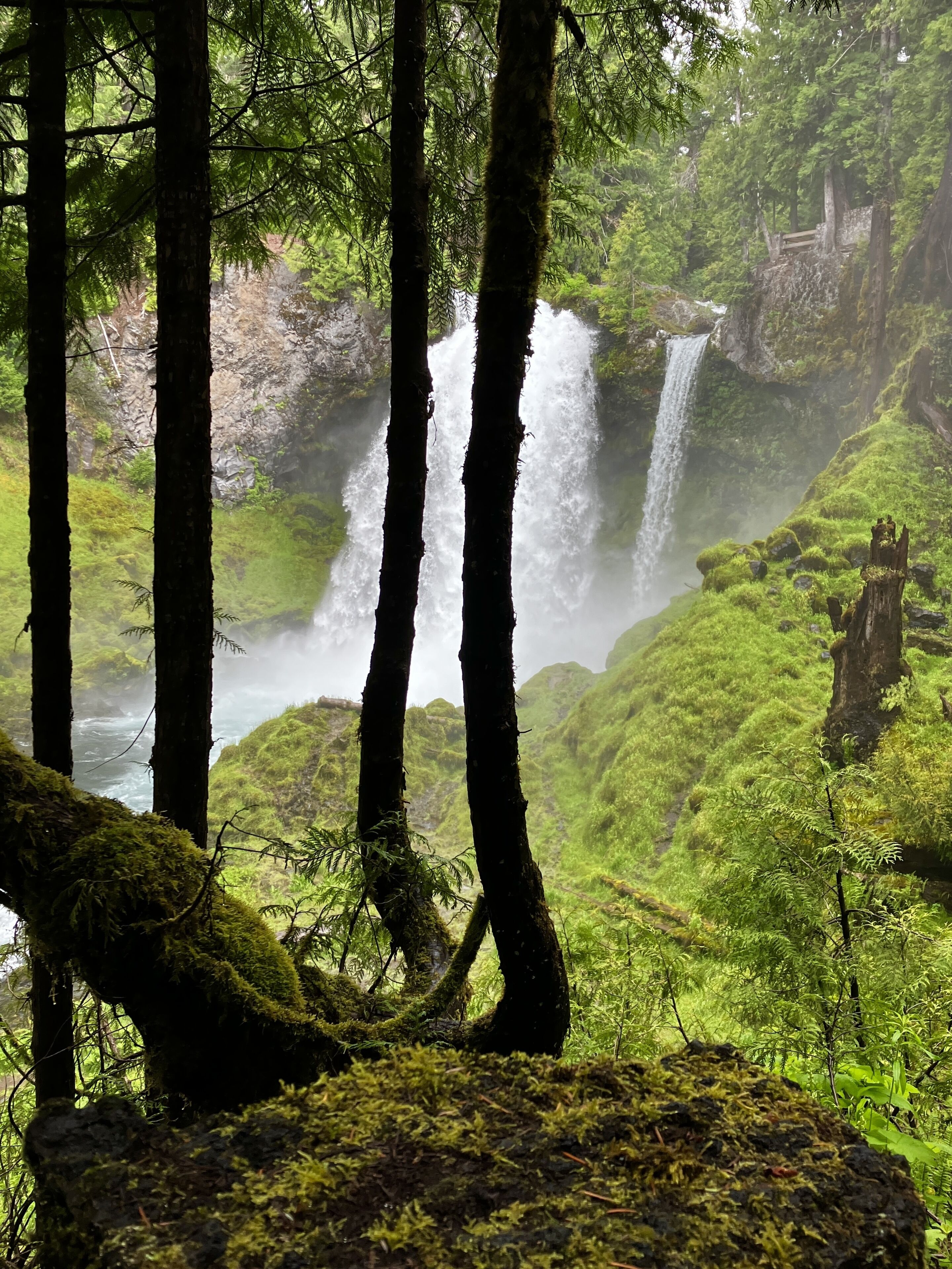 Une zone boisée avec une cascade.