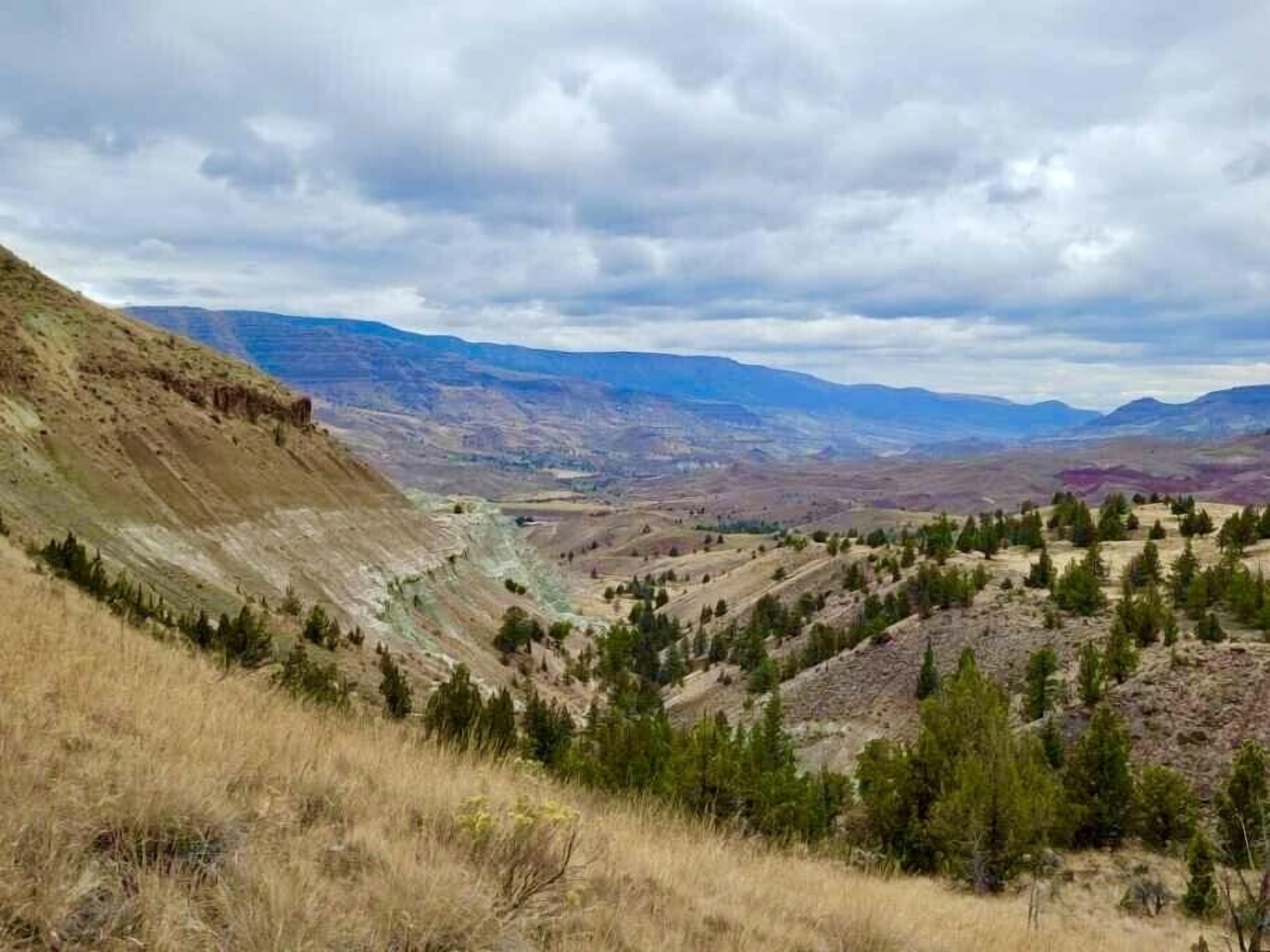Un paysage montagneux avec une vallée, des arbres et des montagnes lointaines sous un ciel nuageux.
