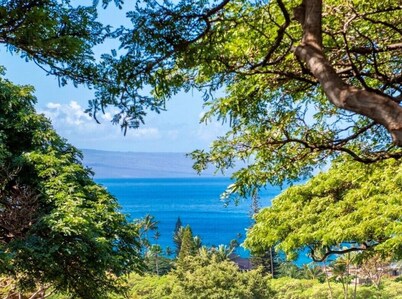 Spectacular Ka'anapali Villa 3/3, AC, pool, Ocean and Island views