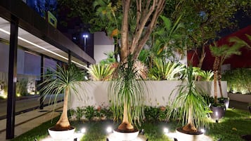 Área externa bem iluminada com um edifício moderno, uma grande árvore e vários vasos de plantas.