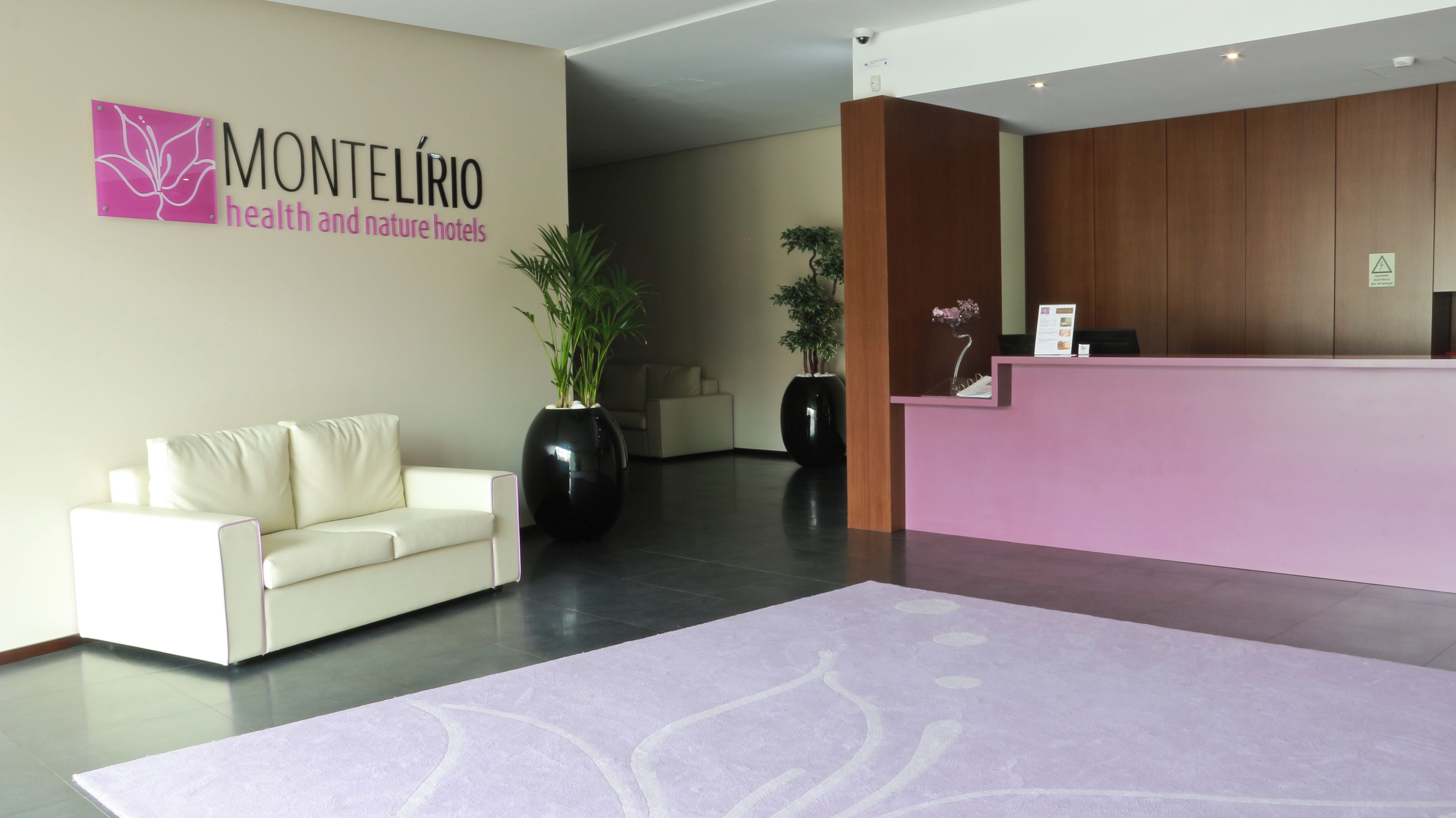 A hotel reception area with a reception desk, a white sofa, and two large potted plants.