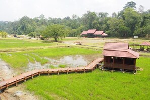 Property grounds - Laman Green The Boutique Hotel (Shah Alam)