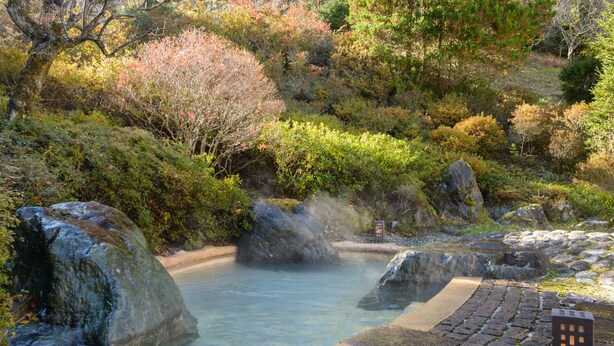 A natural hot spring area with large rocks, a wooden walkway, and surrounding vegetation. - Hotel Hanaya (Achi)