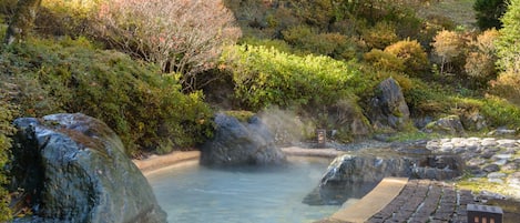 Hot springs