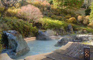 A natural hot spring area with large rocks, a wooden walkway, and surrounding vegetation. - Hotel Hanaya (Achi)