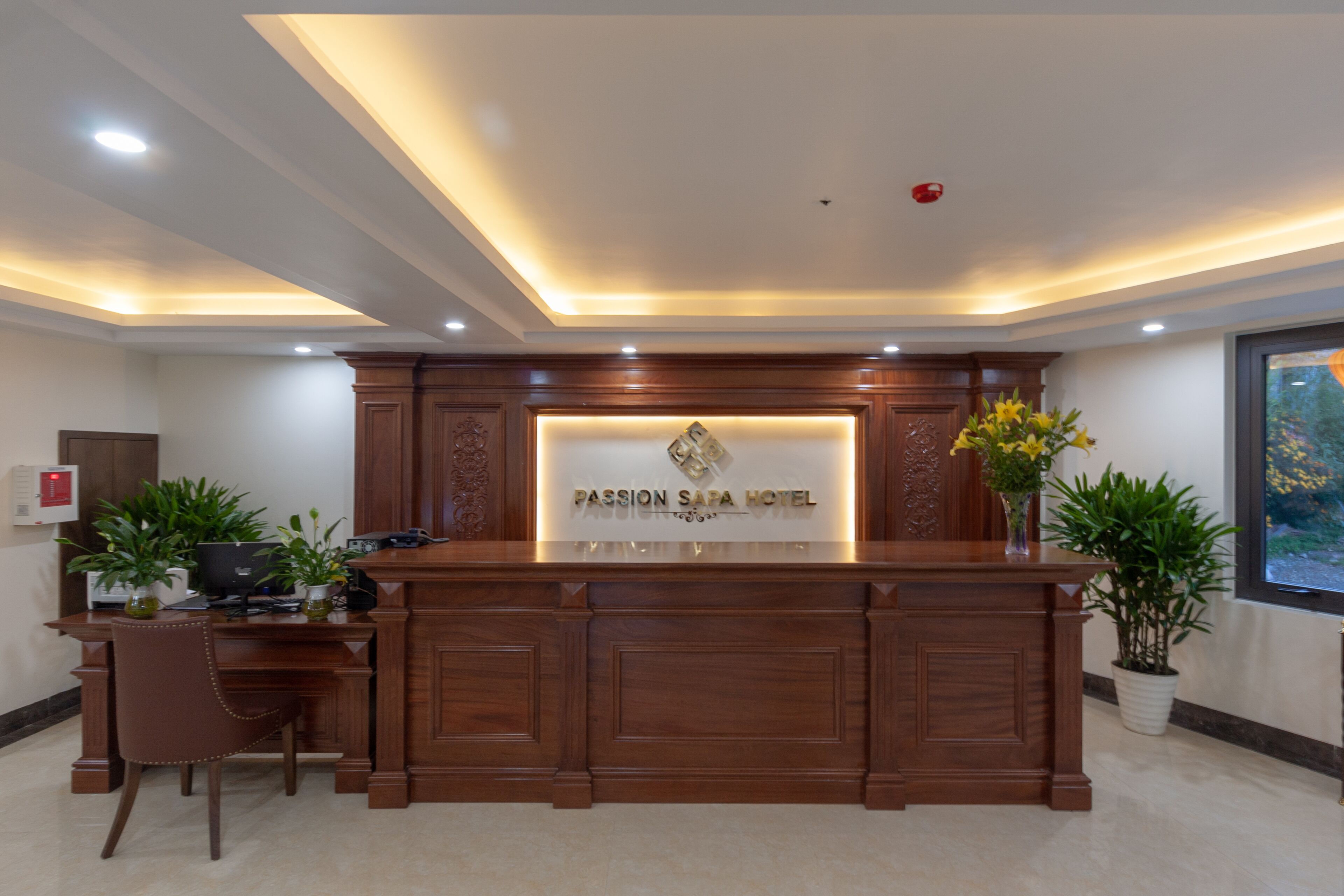 Un mostrador de recepción con un letrero que dice "Passion Saba Hotel" y una planta en maceta a la derecha.