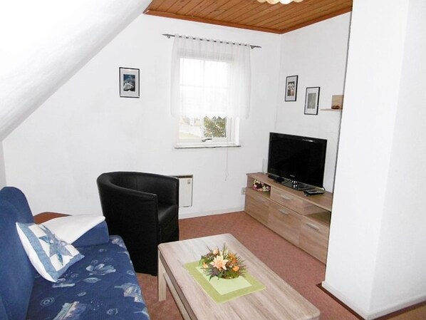 Fernseher