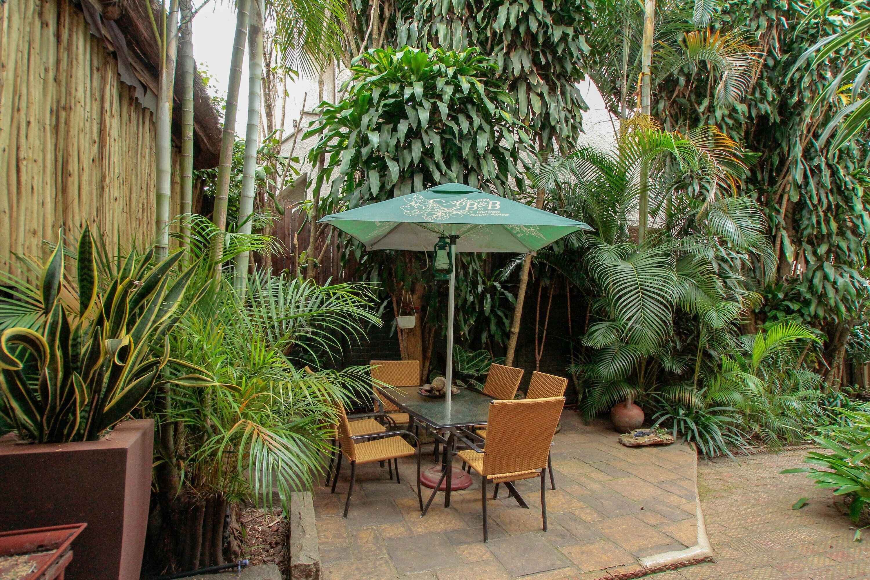 Un patio con mesa y sillas, rodeado de abundante vegetación y una cerca de bambú.