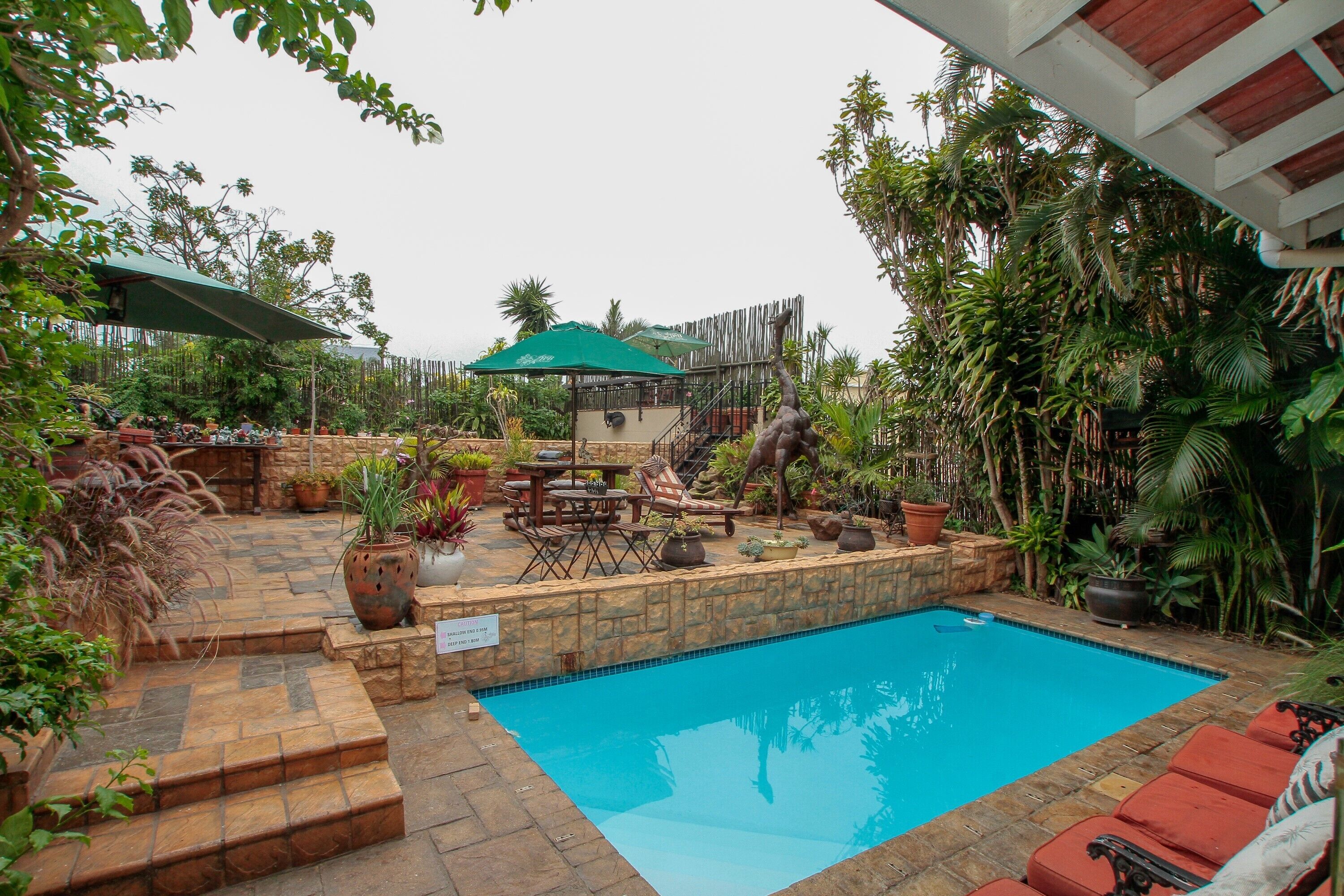 حمّام سباحة خارجي