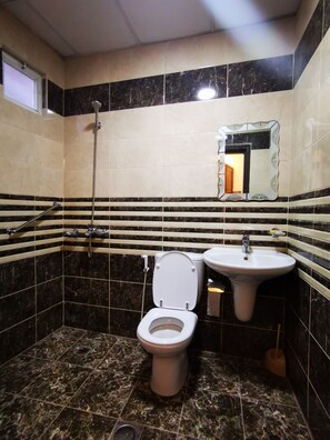 Un baño con inodoro, lavabo y ducha.