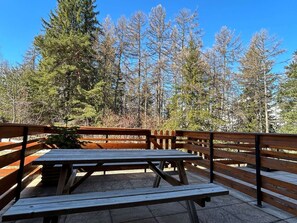 Outdoor dining - Modern family studio with terrace and WIFI (Le Dévoluy)