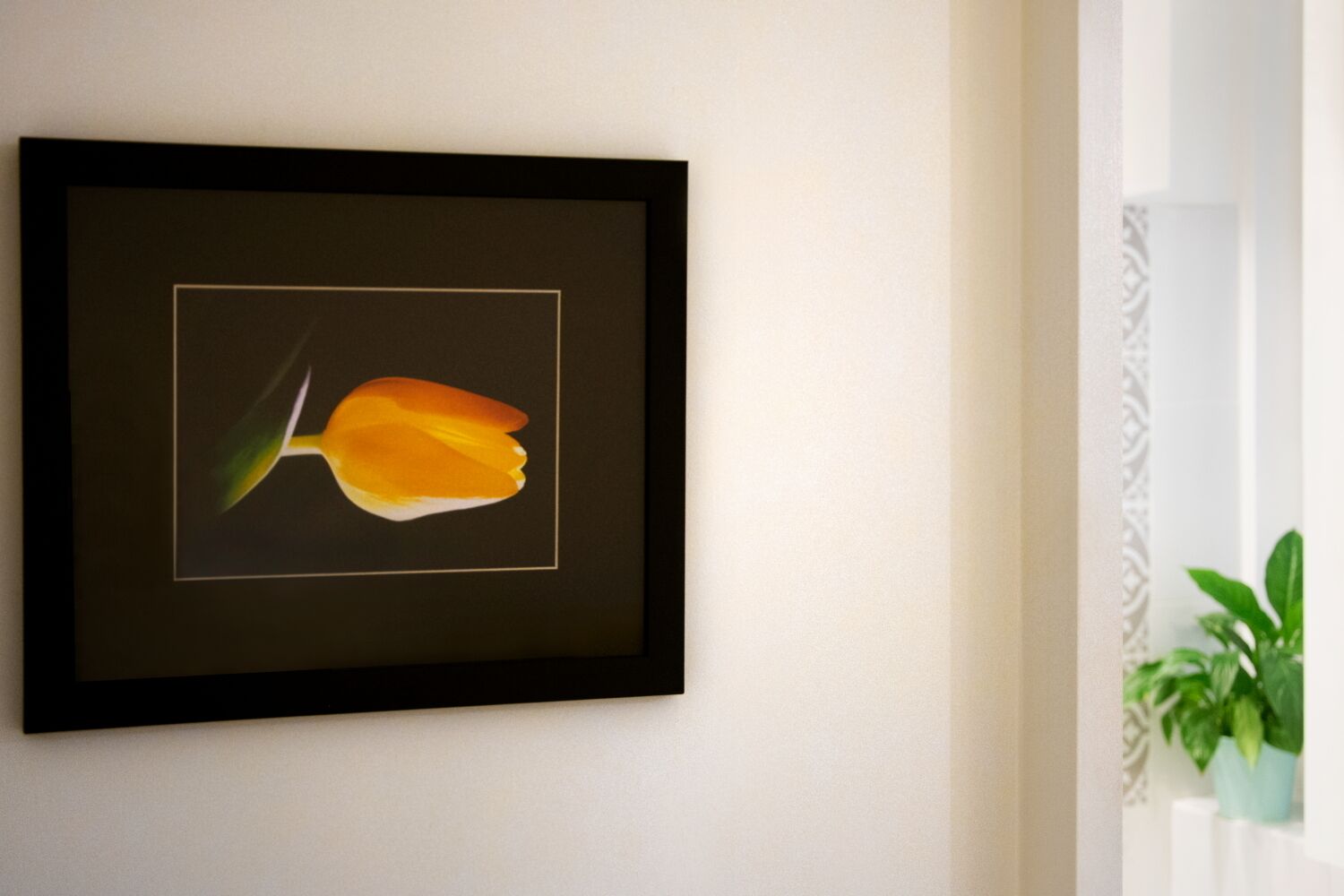 A framed artwork of a tulip on a wall.