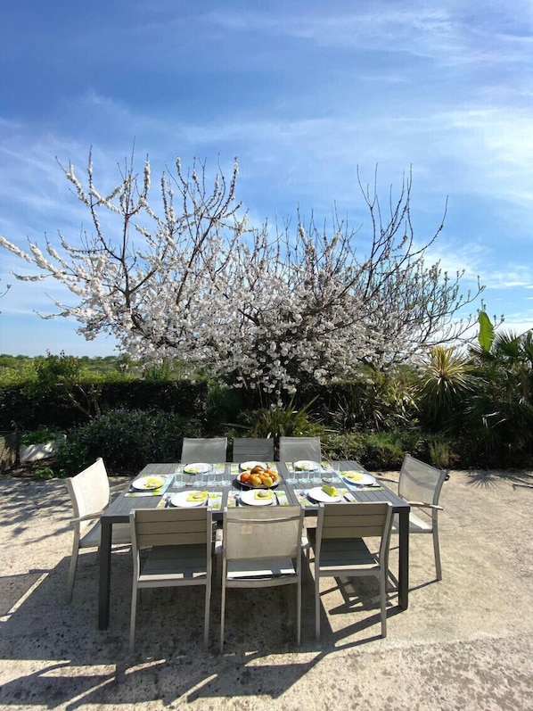 Un ensemble de mobilier de jardin comprenant une table et des chaises, placé à l’extérieur et entouré d’un jardin agrémenté d’arbres en fleurs et de verdure.