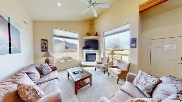 TV connectée, cheminée, lecteur de DVD