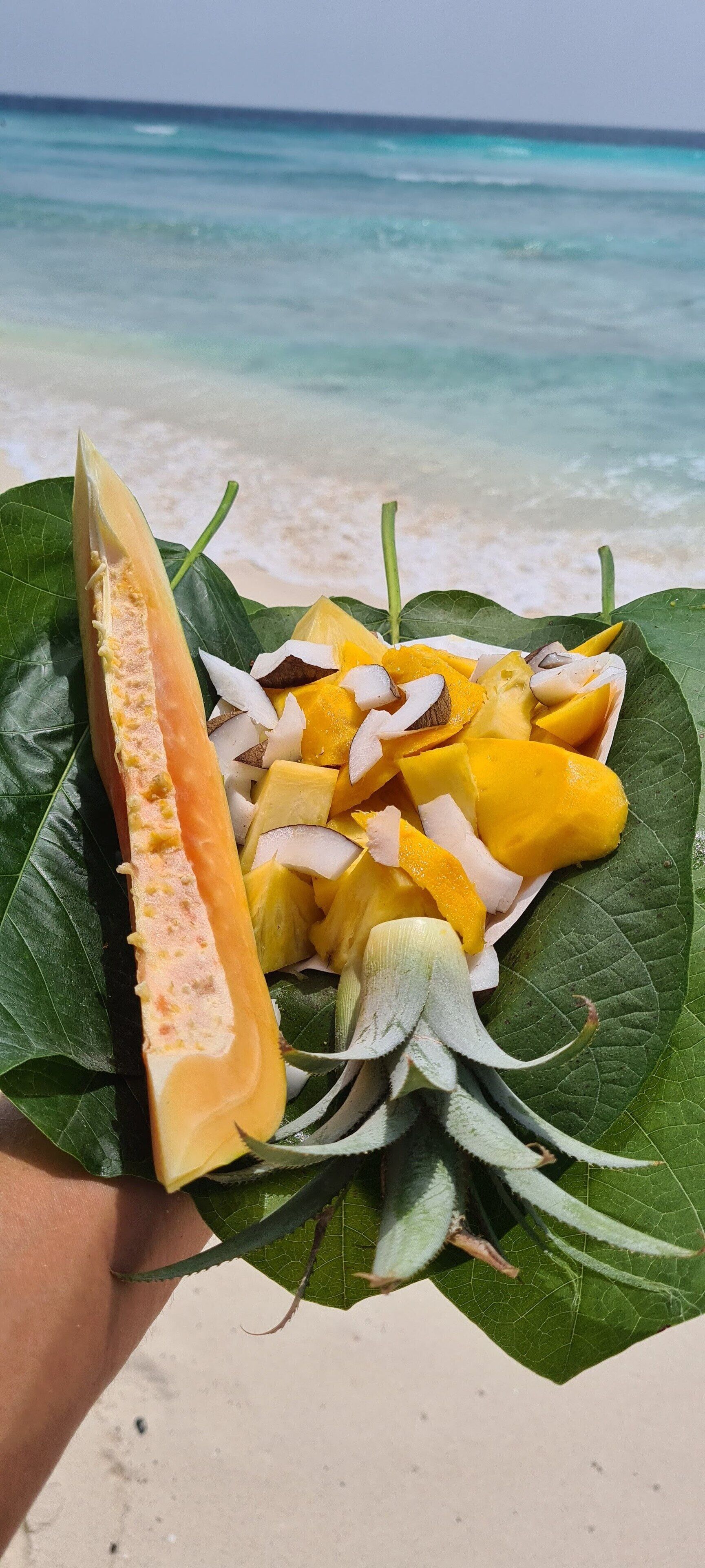 A dish of papaya and mango on a leaf, held over a beach with the ocean in the background.
