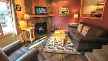 Télévision, cheminée, lecteur de DVD, vidéothÚque