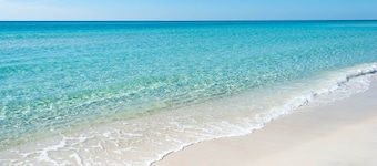 ⭐️ Seacrest Rosemary Alysin uusi ylellinen 4BR-sydän