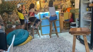 A cozy indoor space with wooden furniture, a seating area with a green bean bag, and a counter with a beverage dispenser. - Vlora Backpackers Hostel (Vlorë)