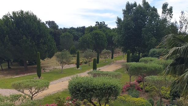 A landscaped garden with various shrubs, trees, and a pathway. - Duplex apartment 6 people Cannes Grand Parc (Cannes)