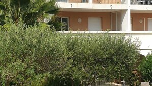 A multi-story building with balconies, surrounded by well-maintained garden vegetation. - Duplex apartment 6 people Cannes Grand Parc (Cannes)