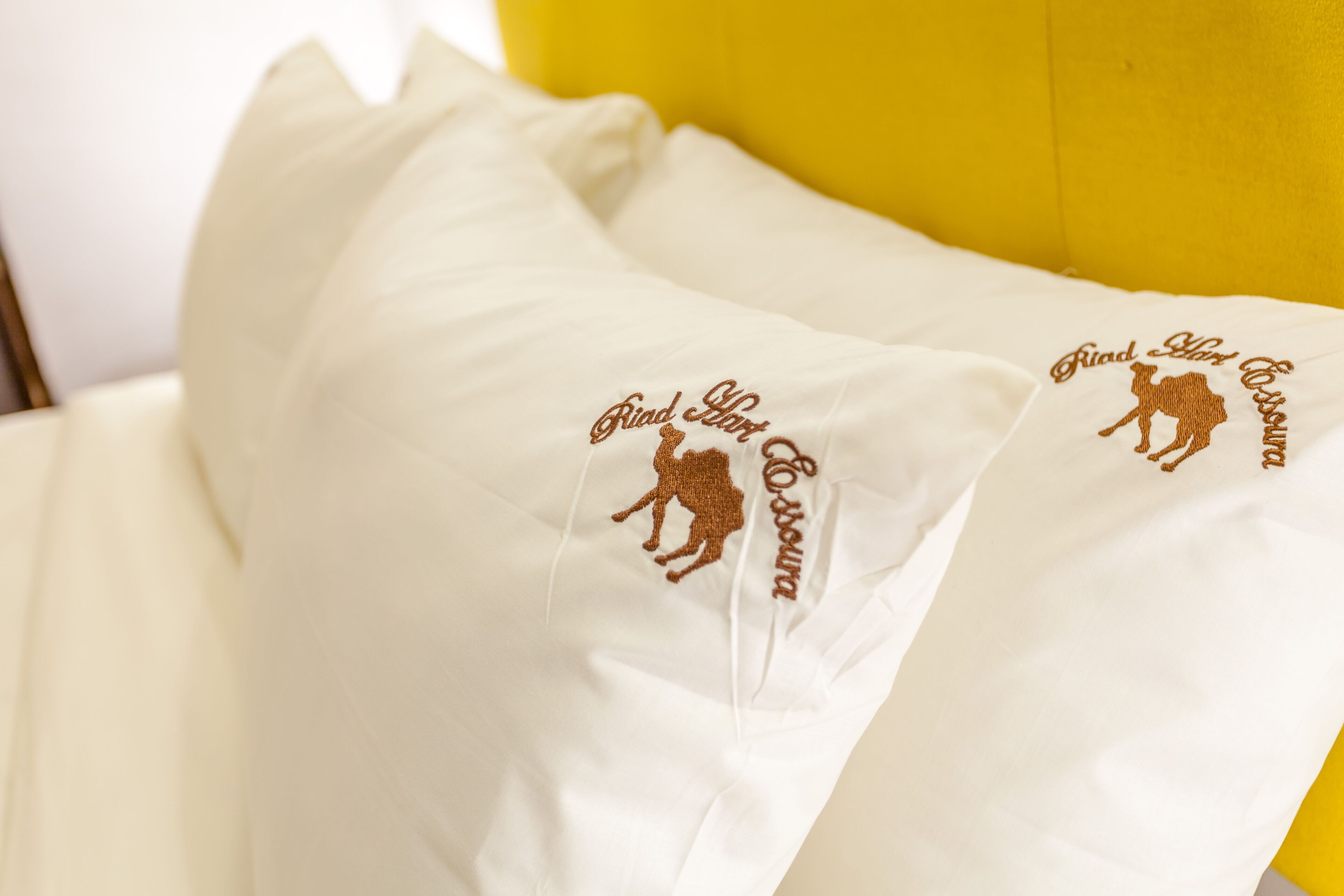 Foto - Riad Hart Essoura