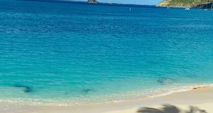 dream vacation, feet in the water