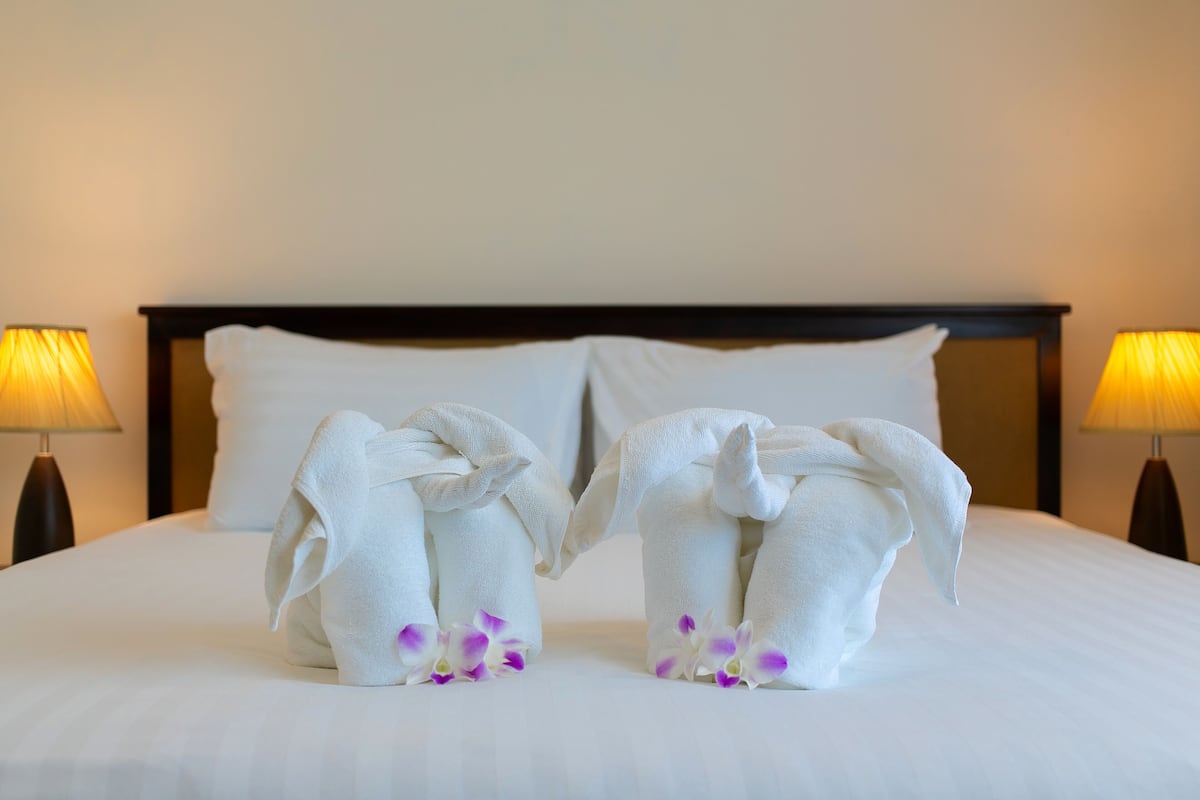 Wifi gratis y ropa de cama