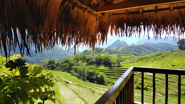 A view from a thatched-roof structure overlooking terraced rice fields and mountains.