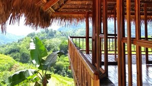 A wooden structure with a thatched roof overlooking a lush landscape.
