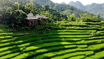 Bungalow dành cho gia đình, nhiều giường, quang cảnh núi | Mặt tiền nơi lưu trú